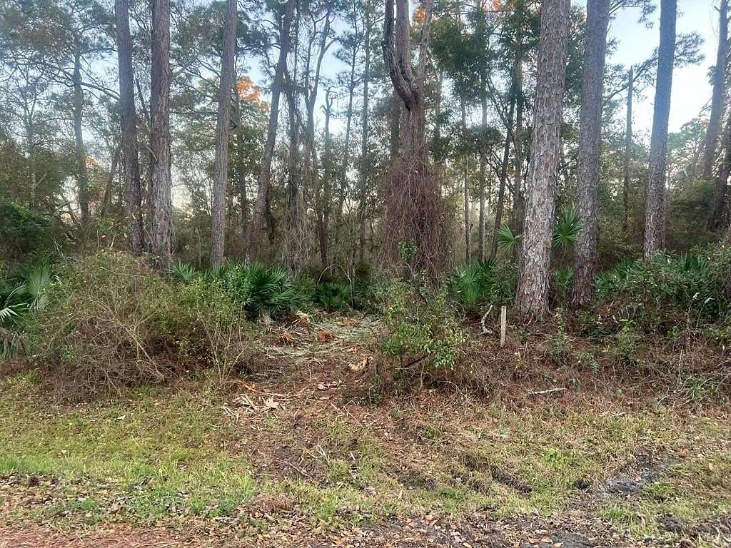 2 Acres of Residential Land for Sale in Apalachicola, Florida
