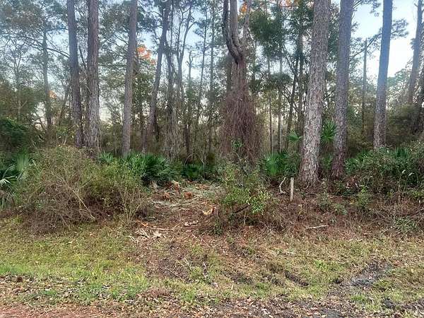 2 Acres of Residential Land for Sale in Apalachicola, Florida