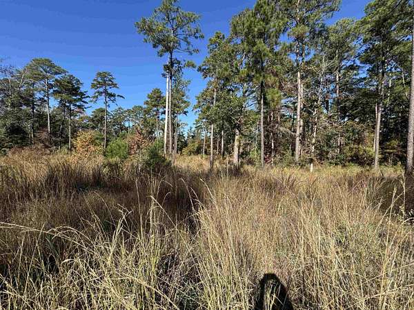 1.12 Acres of Residential Land for Sale in Brookeland, Texas