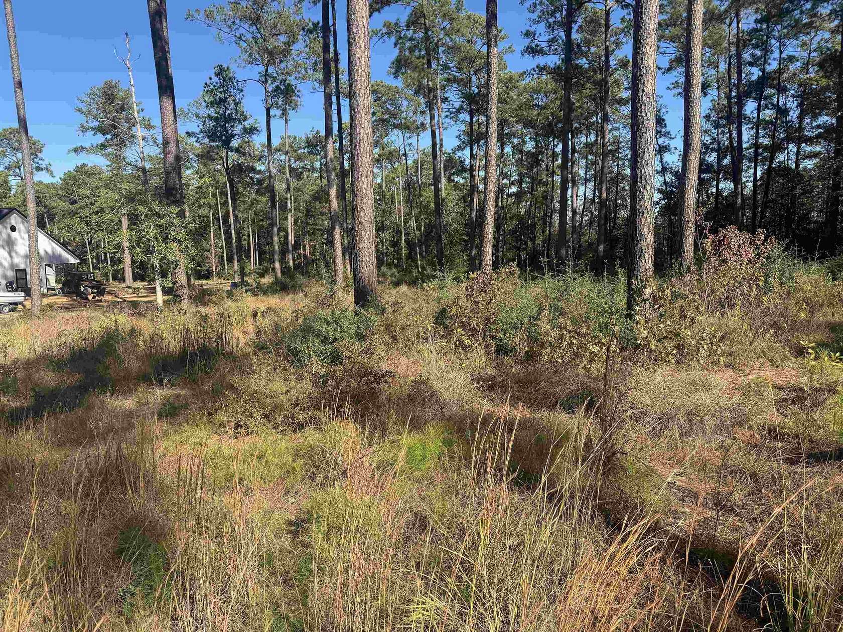 1 Acre of Residential Land for Sale in Brookeland, Texas