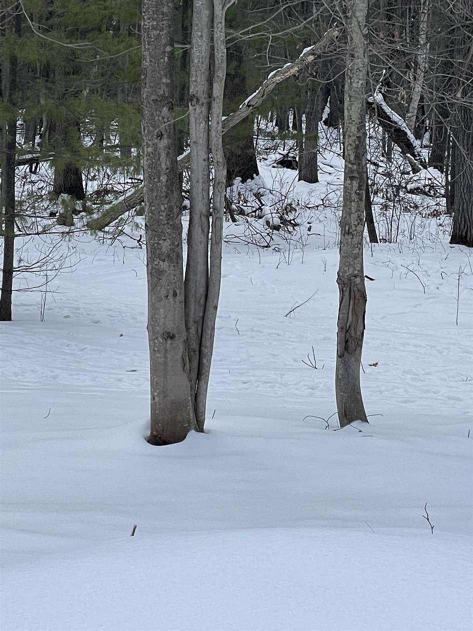 1 Acre of Residential Land for Sale in Shepherd, Michigan