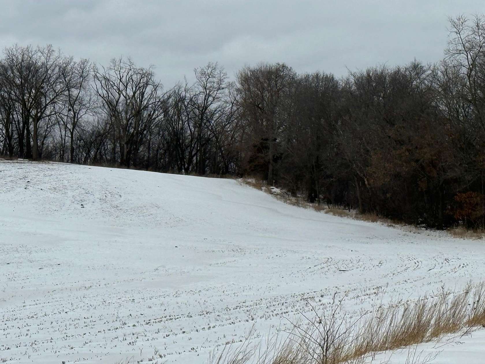 41.5 Acres of Land for Sale in Portage, Wisconsin