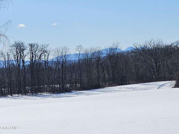 93.4 Acres of Land for Sale in Stuyvesant, New York