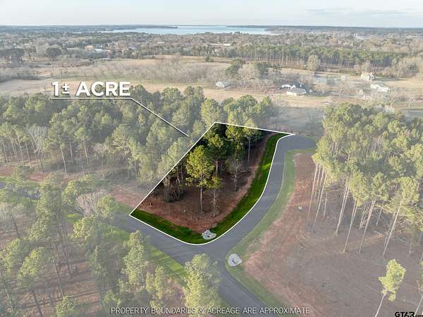 1 Acre of Residential Land for Sale in Frankston, Texas