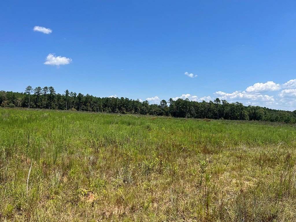 4.66 Acres of Land for Sale in Columbia, Alabama