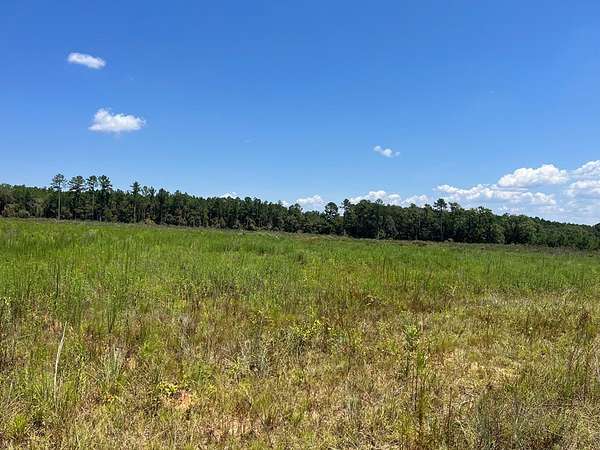 4.66 Acres of Land for Sale in Columbia, Alabama