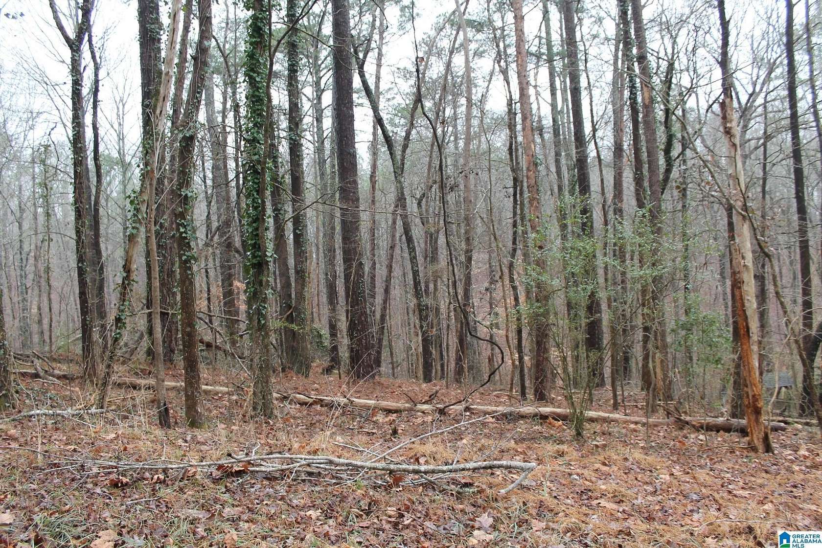 0.5 Acres of Residential Land for Sale in Pinson, Alabama