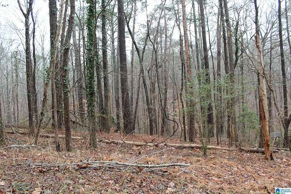 0.5 Acres of Land for Sale in Pinson, Alabama