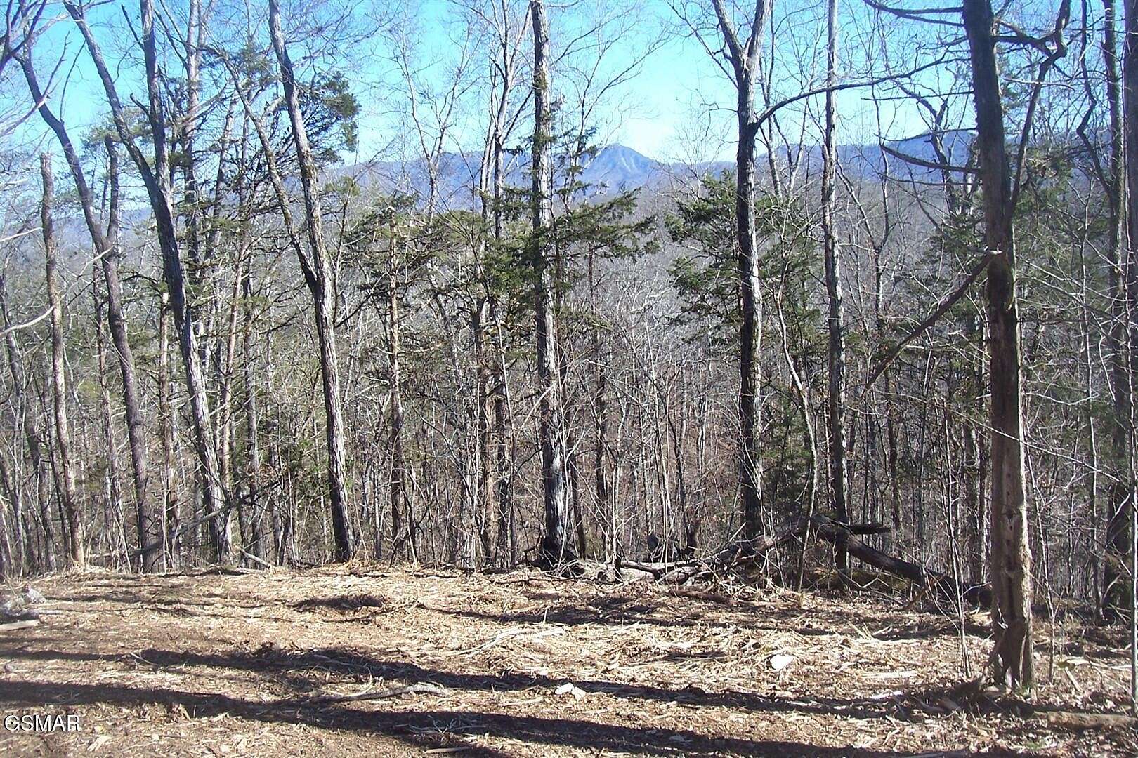 80 Acres of Recreational & Residential Land for Sale in Sevierville, Tennessee