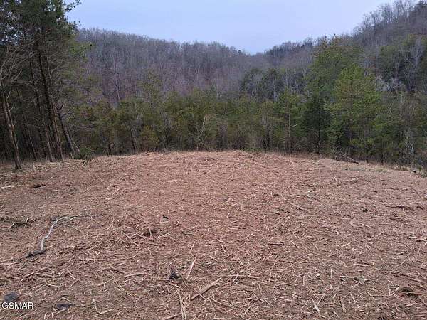 80 Acres of Land for Sale in Sevierville, Tennessee