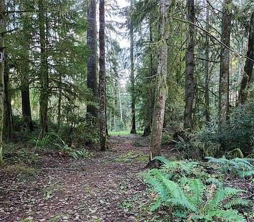 1.1 Acres of Residential Land for Sale in Home, Washington