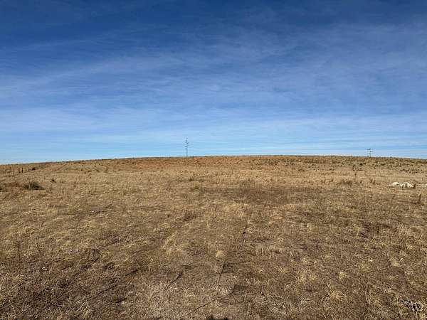 160 Acres of Agricultural Land for Sale in Meadow Grove, Nebraska