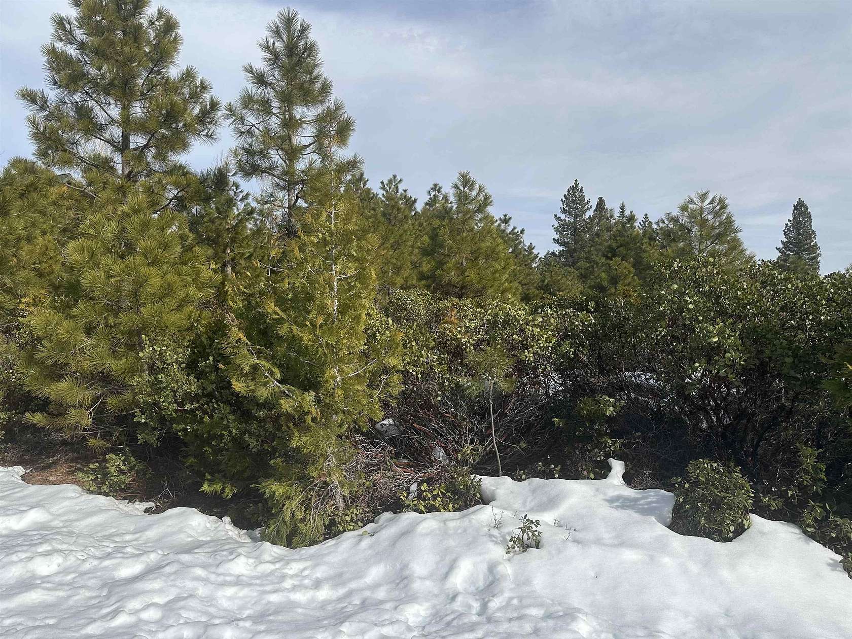 0.29 Acres of Land for Sale in Lake Almanor Peninsula, California