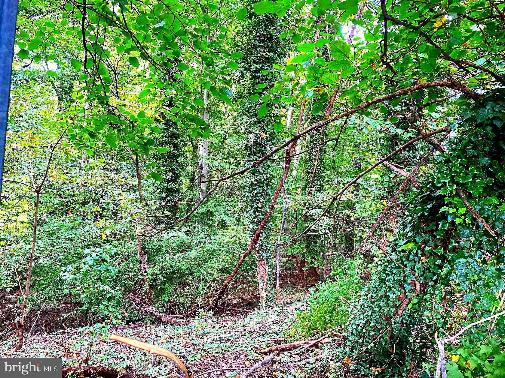 0.88 Acres of Residential Land for Sale in Temple Hills, Maryland