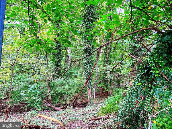 0.88 Acres of Residential Land for Sale in Temple Hills, Maryland