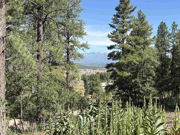 5 Acres of Land for Sale in Pagosa Springs, Colorado