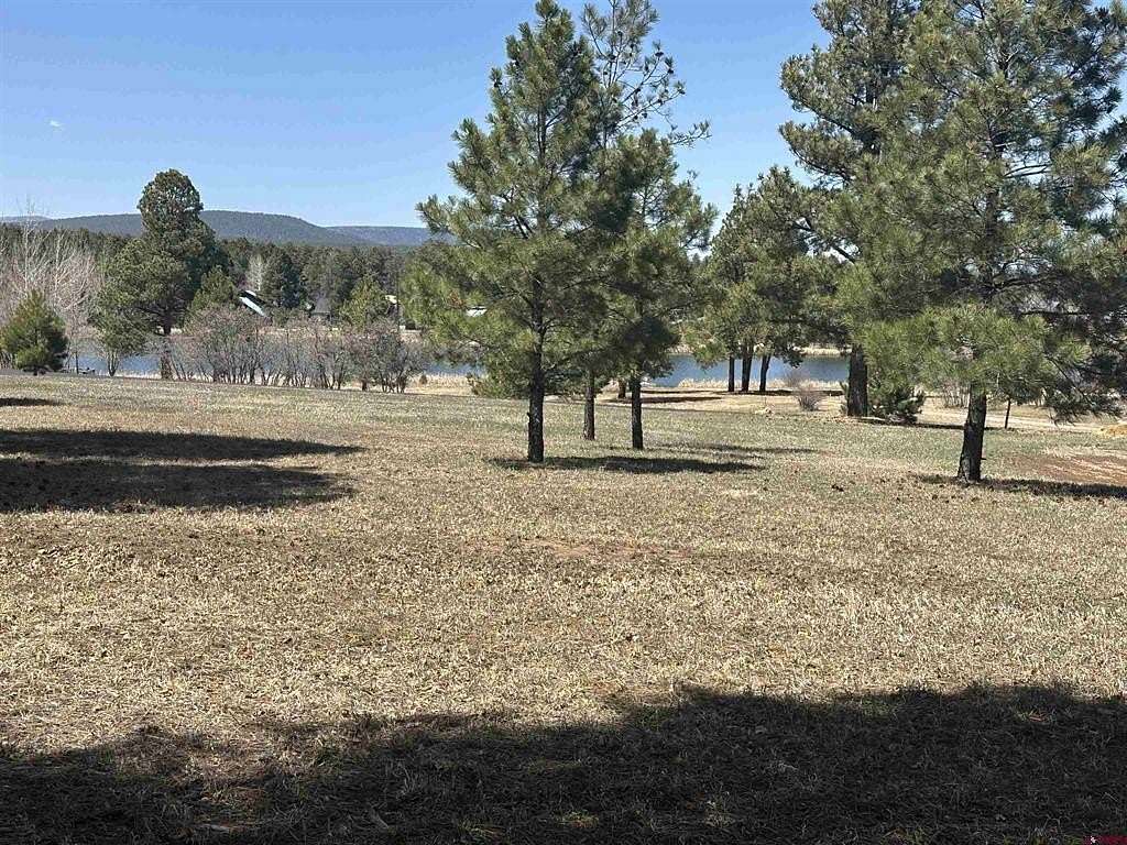 0.77 Acres of Residential Land for Sale in Pagosa Springs, Colorado