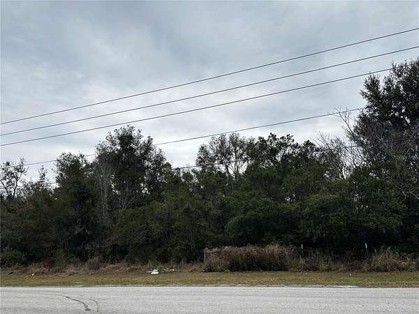 9.84 Acres of Land for Sale in Apopka, Florida