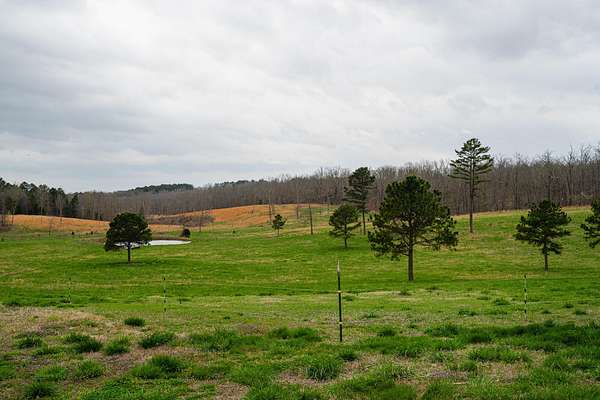 78.8 Acres of Land for Sale in West Plains, Missouri