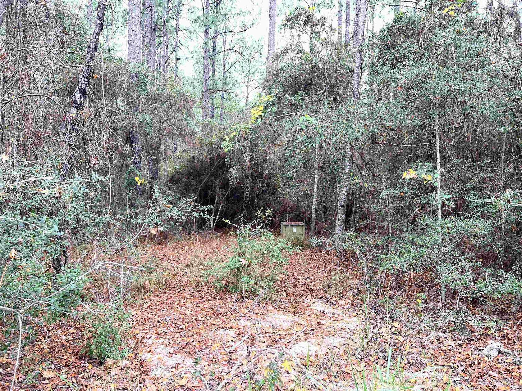 0.25 Acres of Residential Land for Sale in Brookeland, Texas