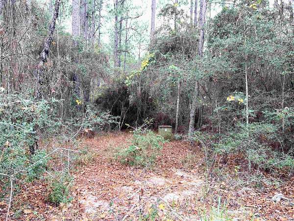 0.25 Acres of Residential Land for Sale in Brookeland, Texas