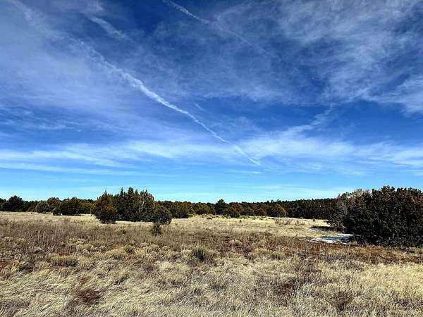 34 Acres of Recreational Land for Sale in Edgewood, New Mexico