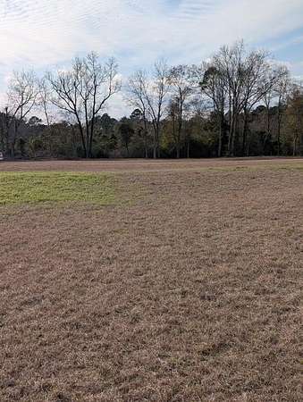 2 Acres of Residential Land with Home for Sale in Dothan, Alabama