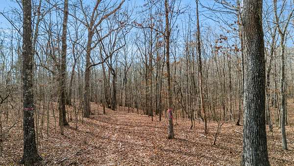 60 Acres of Land for Sale in Springville, Tennessee