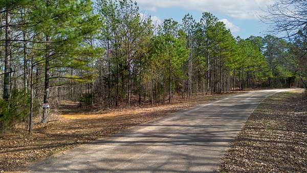 60 Acres of Recreational & Residential Land for Sale in Springville, Tennessee