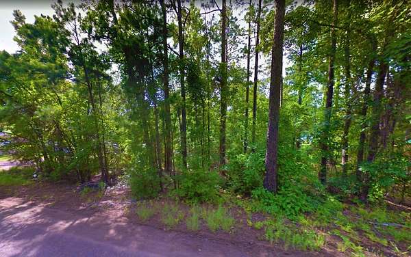 0.19 Acres of Residential Land for Sale in Brookeland, Texas