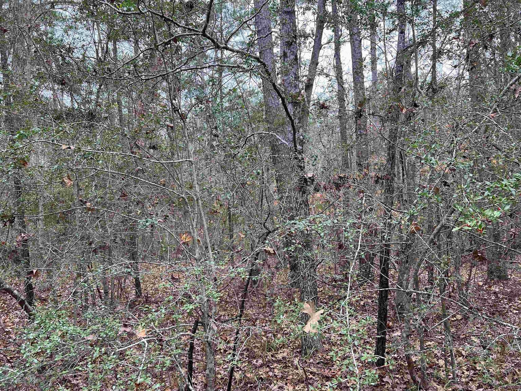 0.24 Acres of Residential Land for Sale in Brookeland, Texas