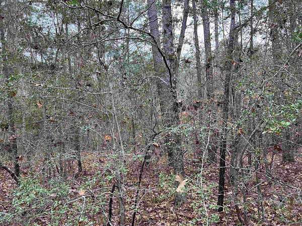 0.24 Acres of Residential Land for Sale in Brookeland, Texas
