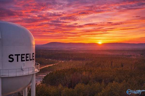 38.1 Acres of Land for Sale in Steele, Alabama