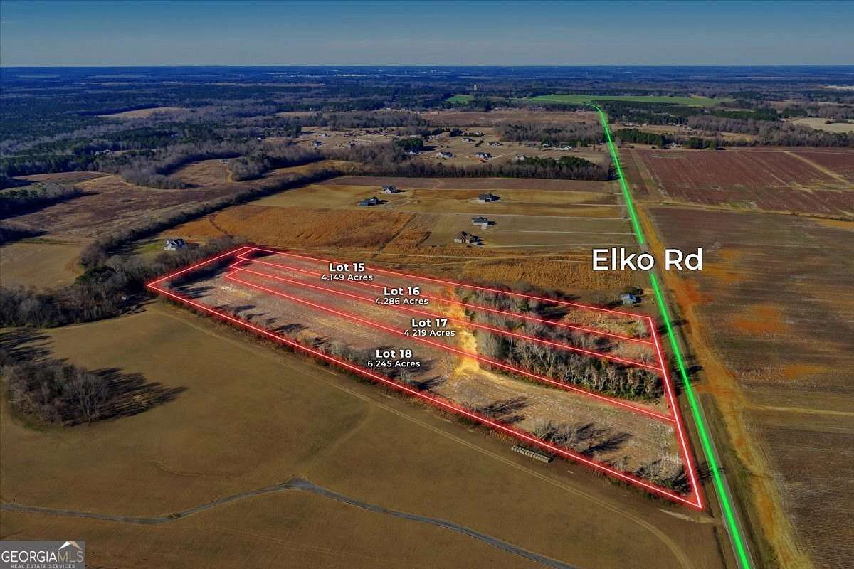4.2 Acres of Residential Land for Sale in Elko, Georgia