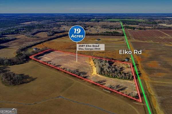 19 Acres of Land for Sale in Elko, Georgia