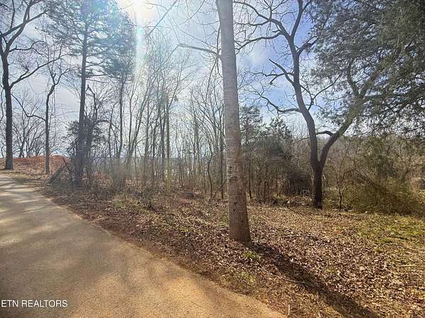 0.24 Acres of Land for Sale in Speedwell, Tennessee