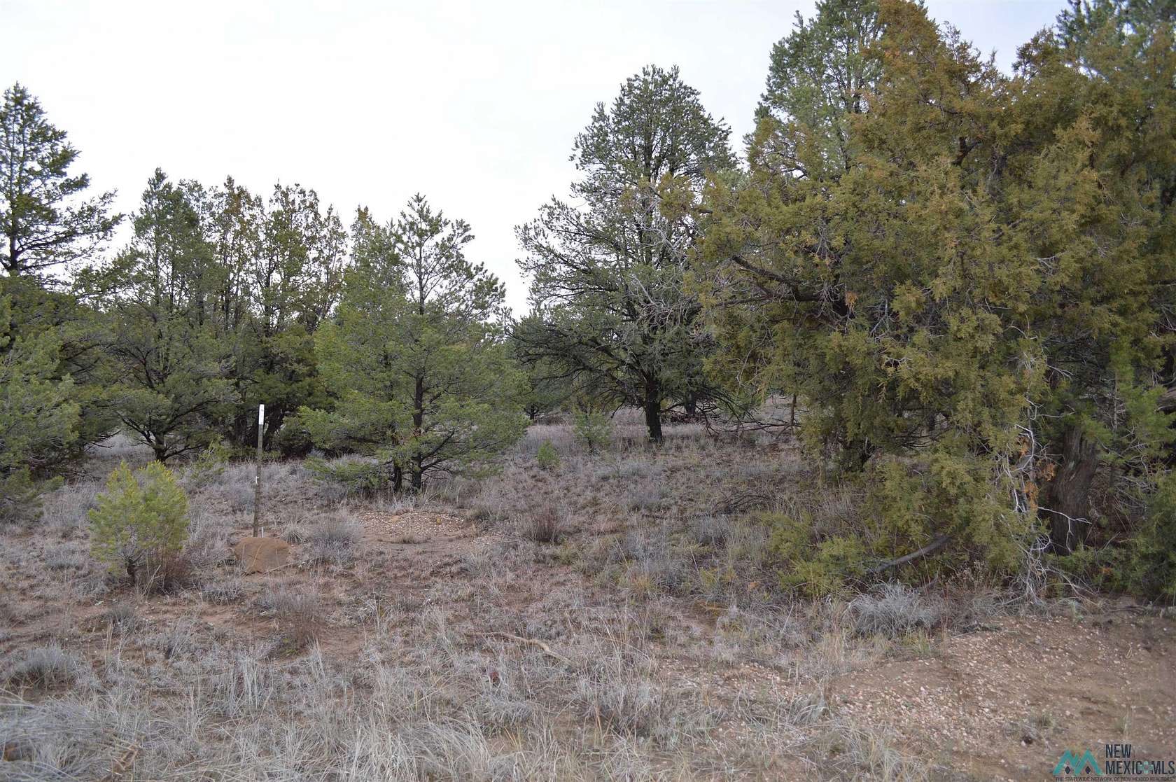 6.74 Acres of Residential Land for Sale in Fence Lake, New Mexico