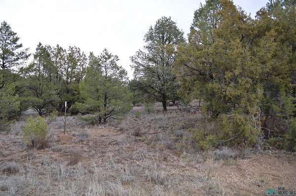 6.74 Acres of Residential Land for Sale in Fence Lake, New Mexico