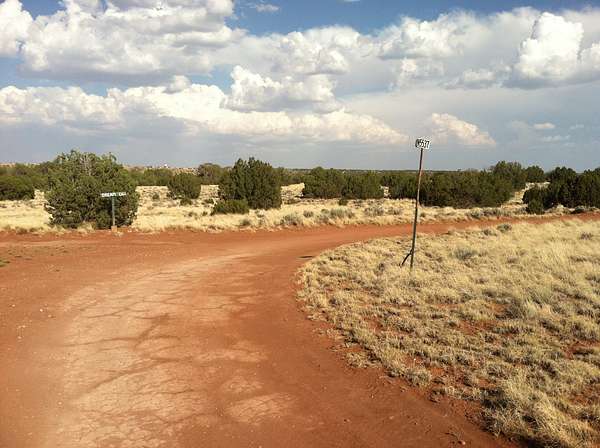 41.8 Acres of Recreational Land for Sale in Concho, Arizona