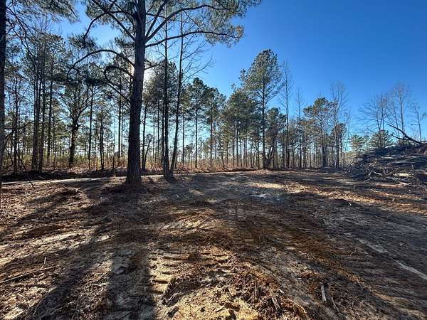 2.9 Acres of Residential Land for Sale in Baldwyn, Mississippi