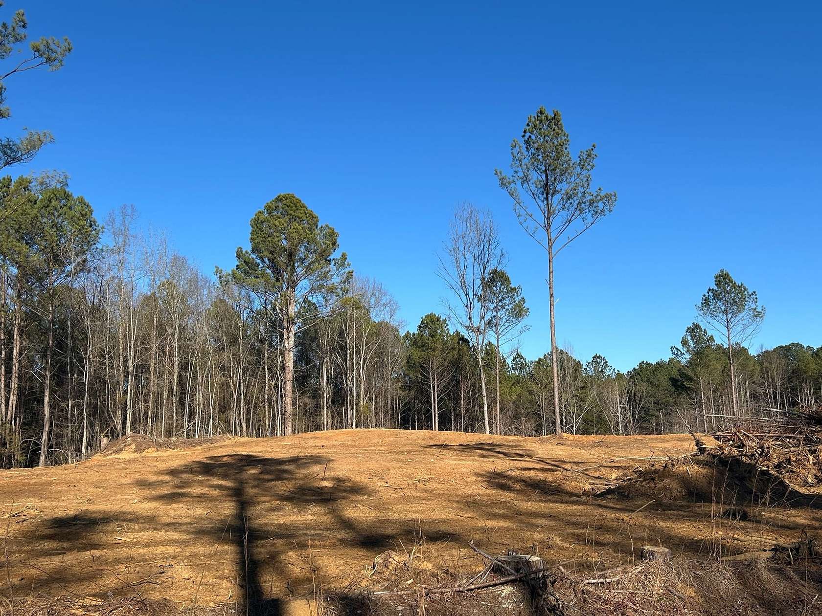 5.3 Acres of Residential Land for Sale in Baldwyn, Mississippi