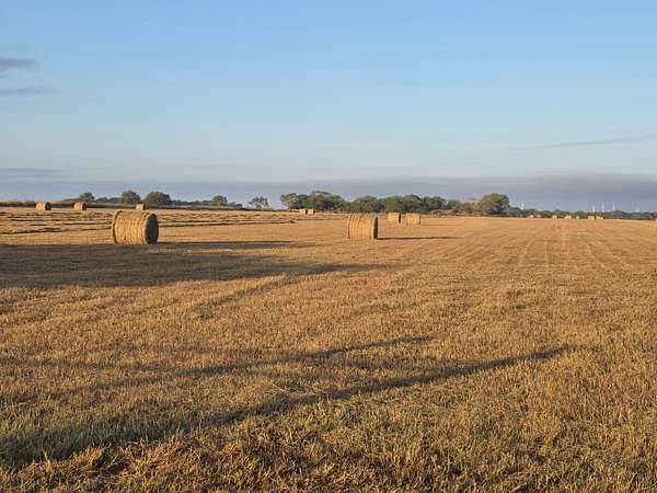 59.1 Acres of Land with Home for Sale in Sinton, Texas