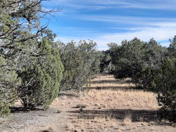 1 Acre of Land for Sale in Seligman, Arizona