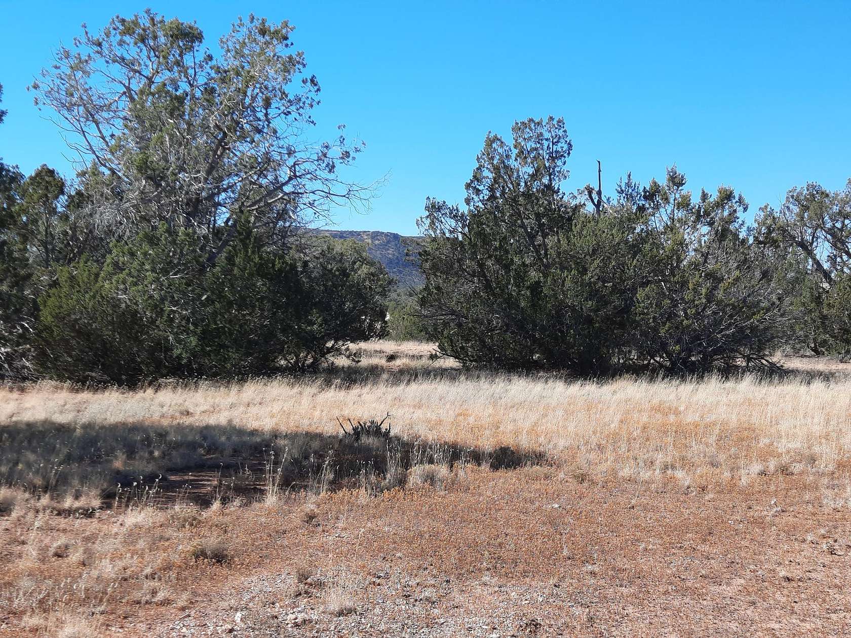 1.1 Acres of Land for Sale in Seligman, Arizona