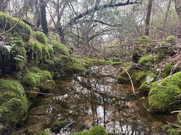 10 Acres of Recreational Land for Sale in Oroville, California