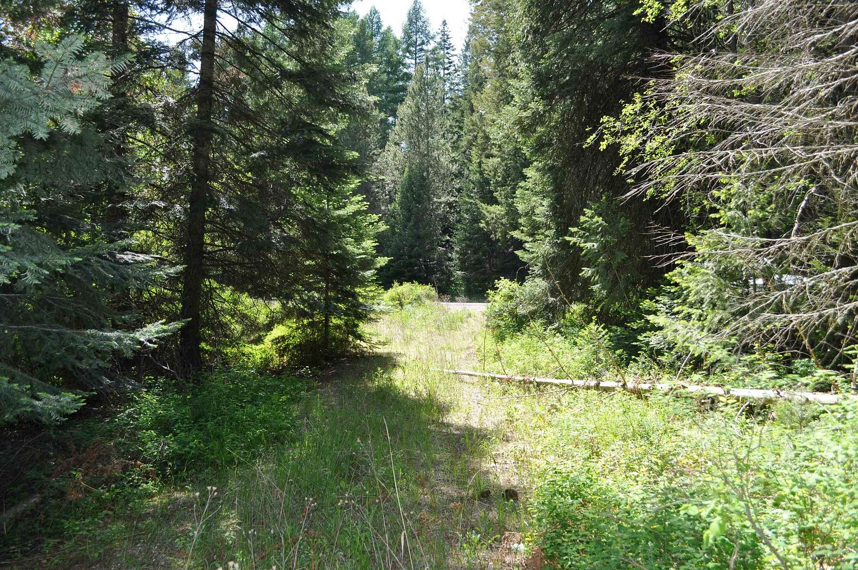 5.54 Acres of Residential Land for Sale in Deer Park, Washington