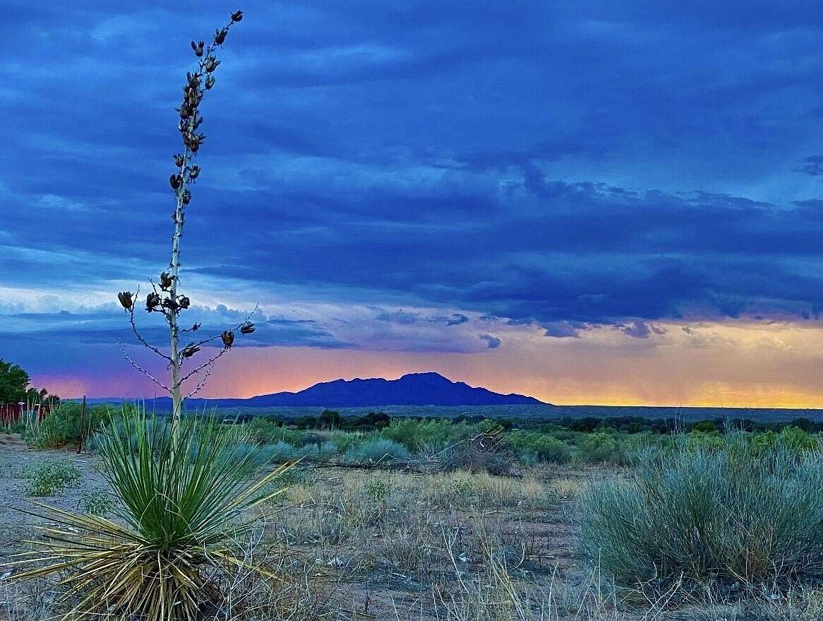 15 Acres of Land for Sale in Veguita, New Mexico