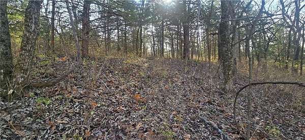 10.1 Acres of Recreational Land for Sale in Edgerton, Kansas