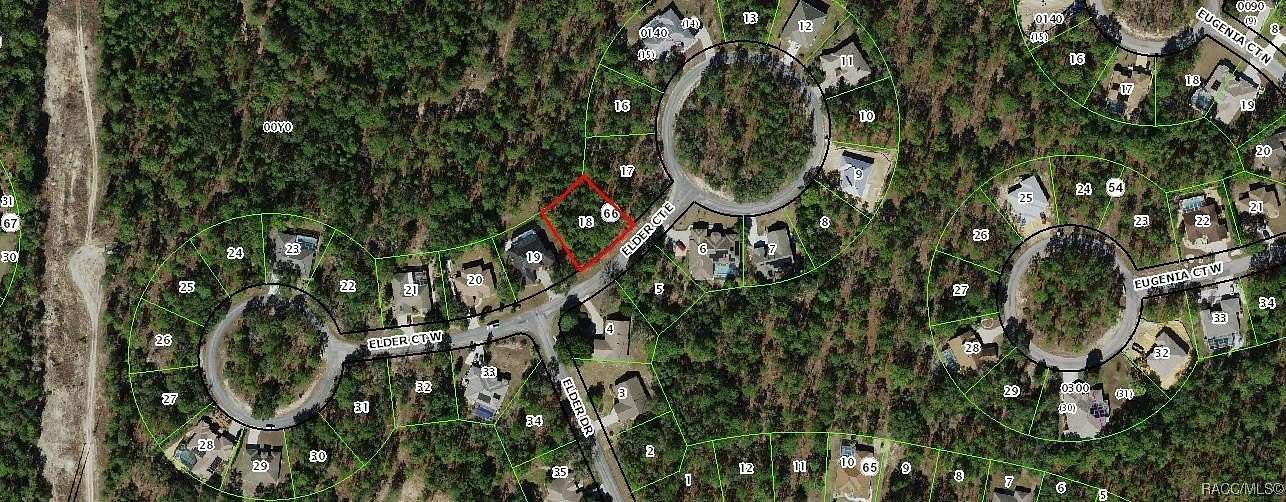 0.3 Acres of Residential Land for Sale in Homosassa, Florida