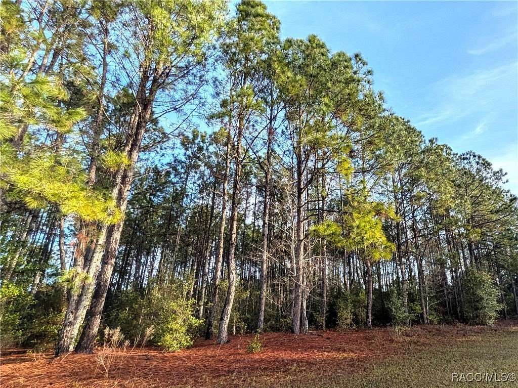 0.95 Acres of Land for Sale in Hernando, Florida